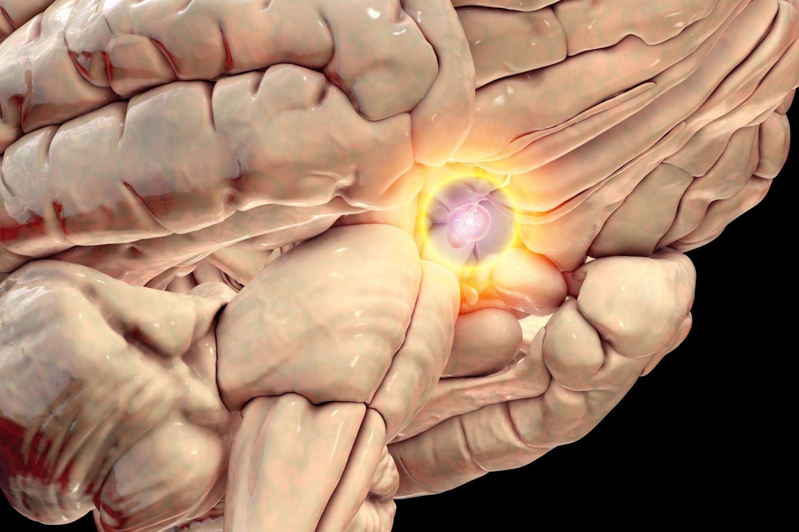 pituitary tumours singapore