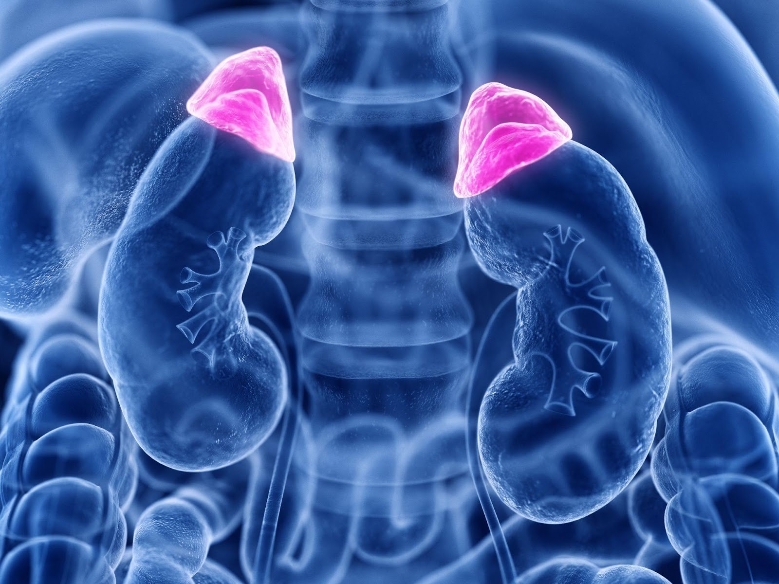 adrenal insufficiency singapore