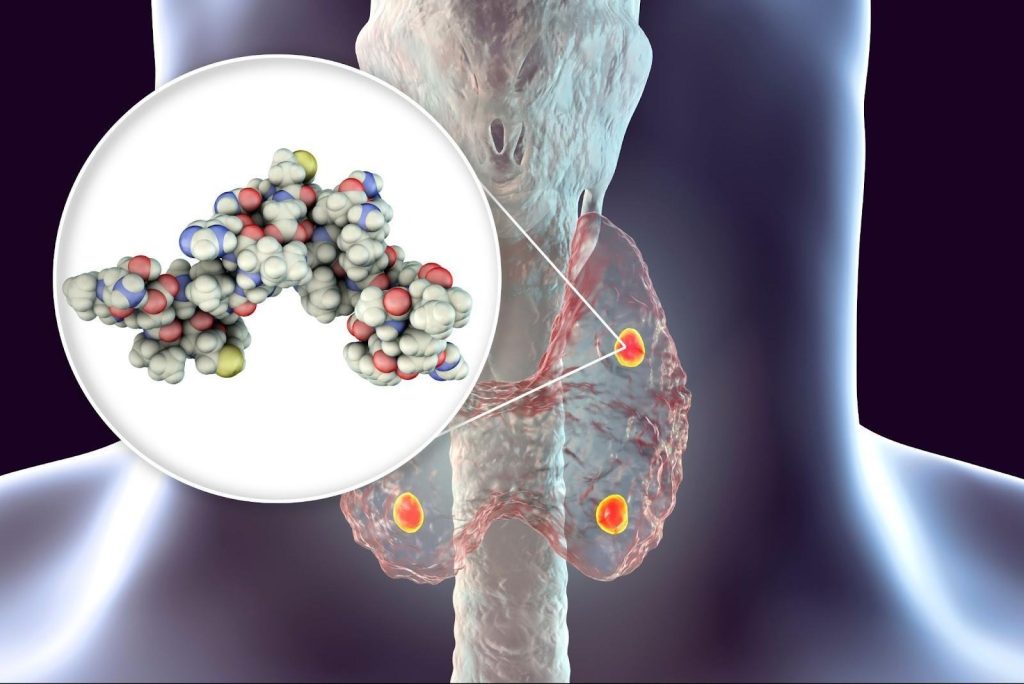Parathyroid Hormone (PTH) Singapore